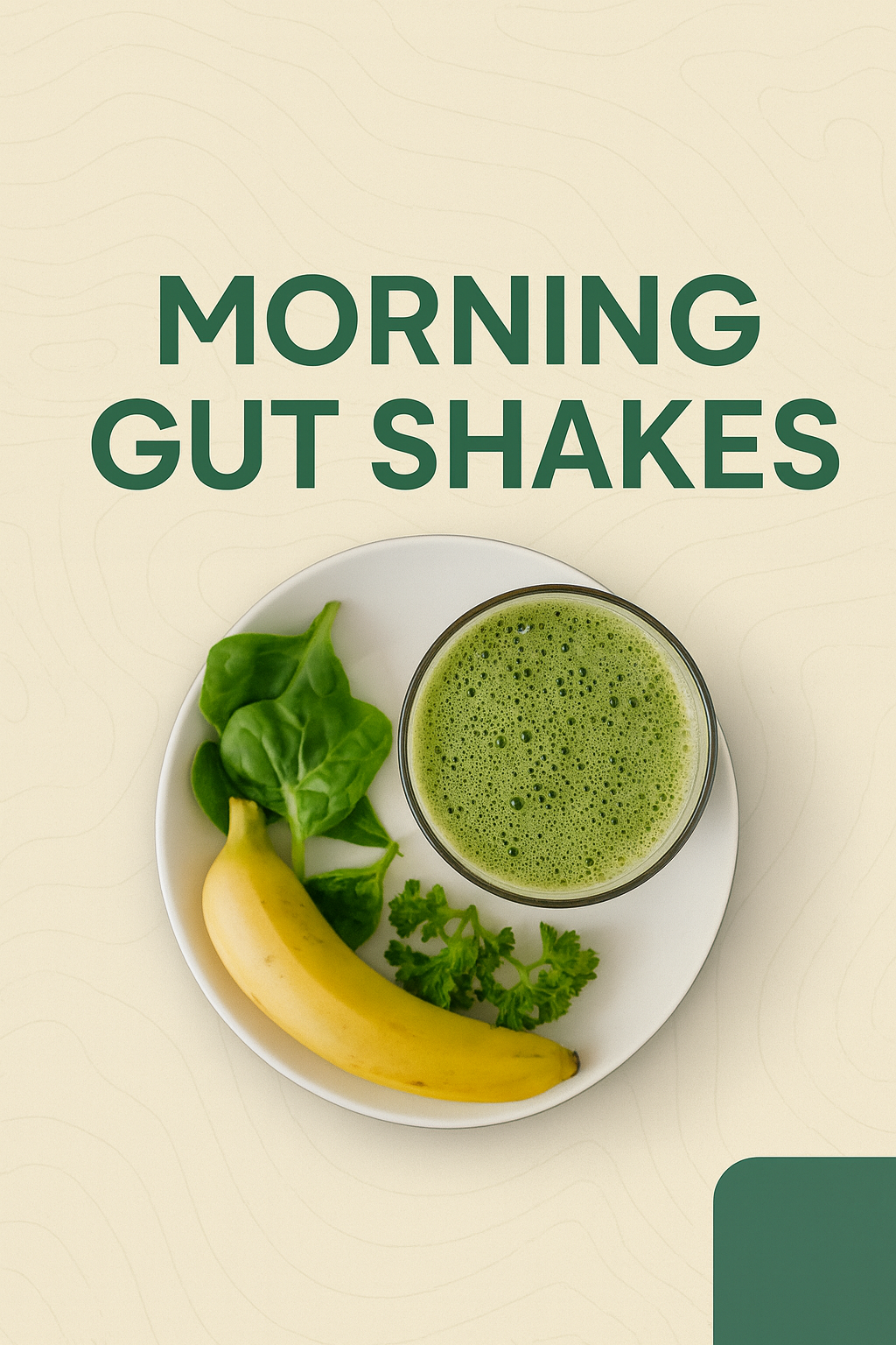 Morning Gut Shakes (Ebook)